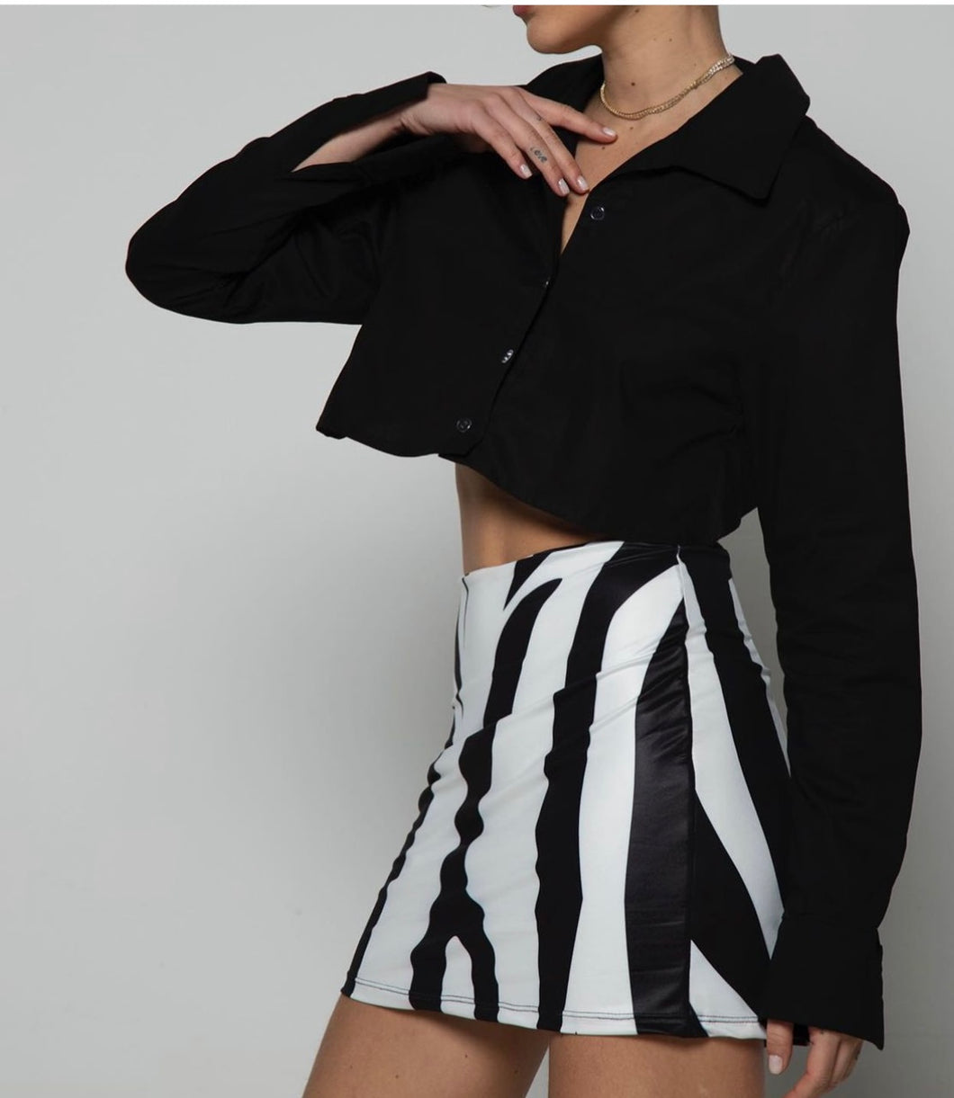 Zebra Mini Skirt